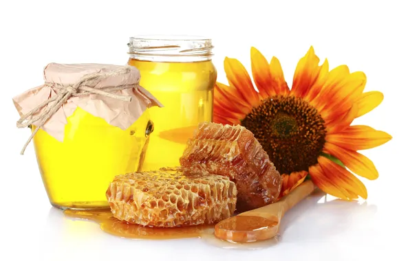 Picture flower, cell, jars, honey