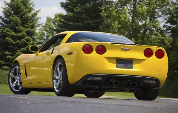 Picture forest, trees, yellow, tuning, Corvette, supercar, Chevrolet, rear view