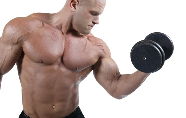 Pose, muscle, muscle, training, athlete, biceps, bodybuilder, training