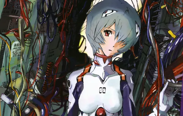 Anime, Rei, Ayanami, Evangelion, Eva