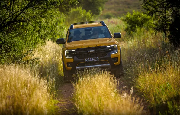 Picture Ford, grass, trees, Ranger, pickup truck, Ford Ranger Wildtrak X