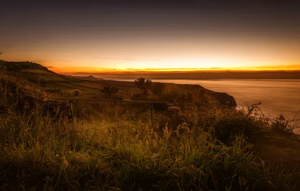 Picture sea, field, the sky, grass, sunset, lights, coast, horizon