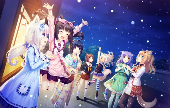 Night, Girls, Nekopara