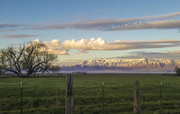 Field, clouds, mountains, nature, nature, mountains, clouds, fields