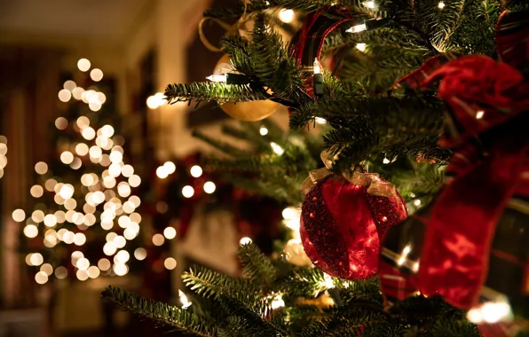 Picture balls, branches, red, lights, room, new year, Christmas, tape