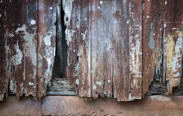 Board, the fence, texture