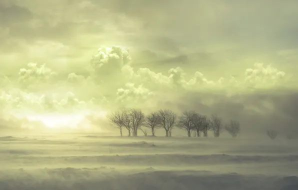 Clouds, snow, Trees