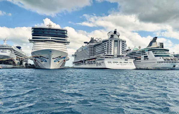 Port, Court, The ship, Liners, MSC, Passenger liner, Vessel, Seaside