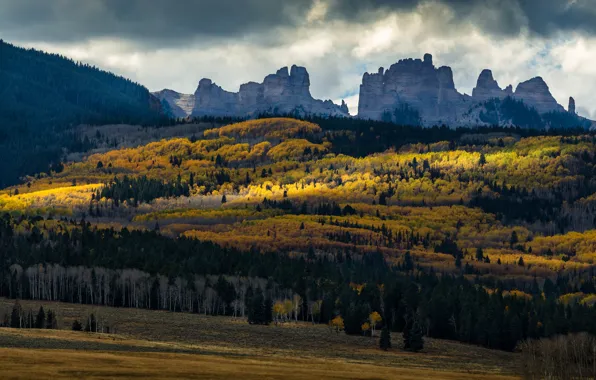 Autumn, forest, clouds, light, mountains, tops, frowning