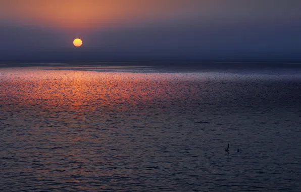 Sea, the sun, island, morning, Cyprus, Cyprus, the Mediterranean