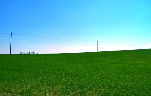 Greens, field, the sky, line, blue, spring, green, bright