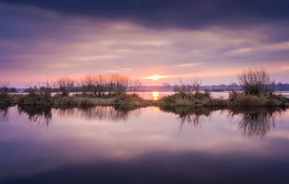 The sky, the sun, clouds, sunset, branches, reflection, shore, pond
