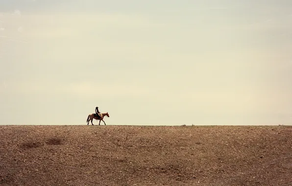 Picture field, the sky, clouds, horse, line, horizon, cowboy, farm