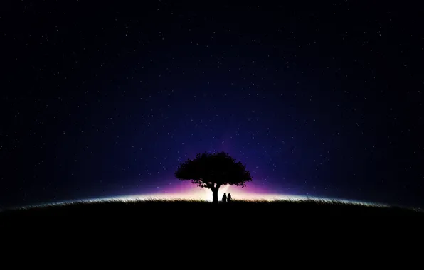 Picture the sky, stars, night, tree