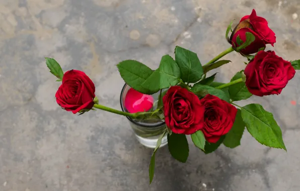 Picture red, background, roses, bouquet, vase, buds