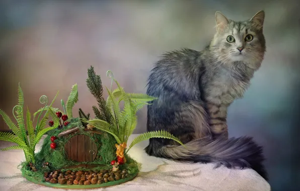 Picture cat, table, animal, Kovaleva Svetlana, Svetlana Kovaleva, topiary