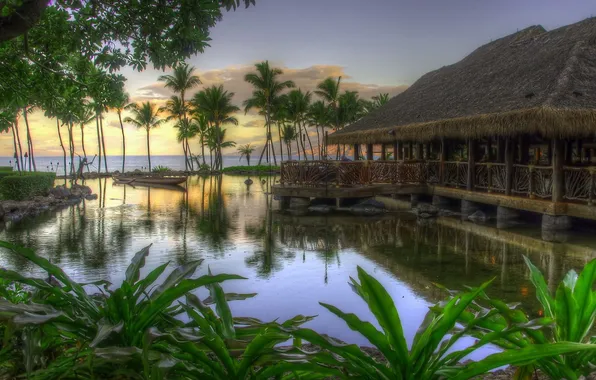 Picture sea, landscape, nature, pond, palm trees, the ocean, Wallpaper, boat