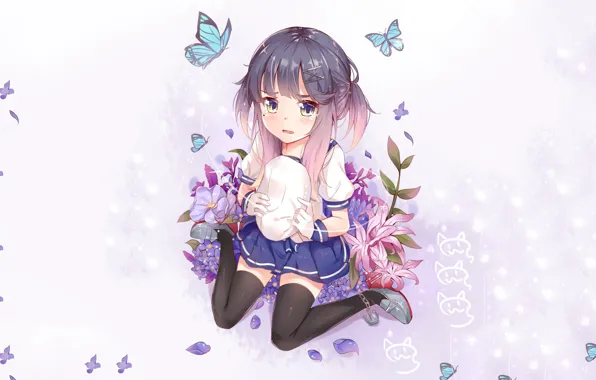 Picture look, butterfly, anime, girl