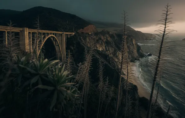 Clouds, Beach, Bridge, Ocean, Rocks, Plants, Kellen Riggin