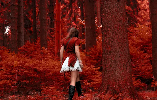 Girl, red, in red, cap, red forest