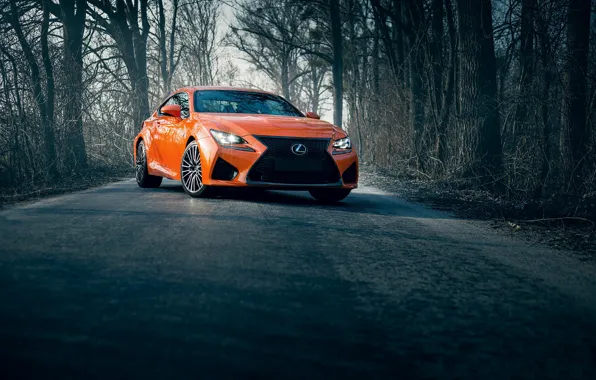 Picture lexus, road, orange, rcf