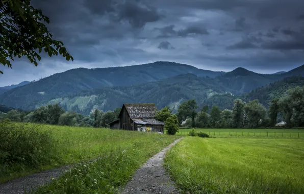 Picture road, field, home