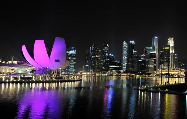 Water, reflection, night, the city, lights, skyscrapers, backlight, Singapore