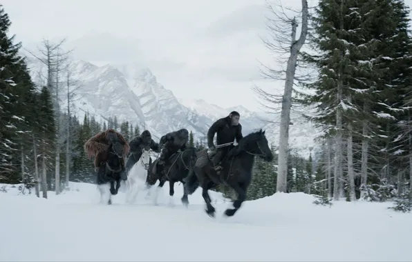 Gun, monkey, weapon, snow, gorilla, shotgun, War for the Planet of the Ape