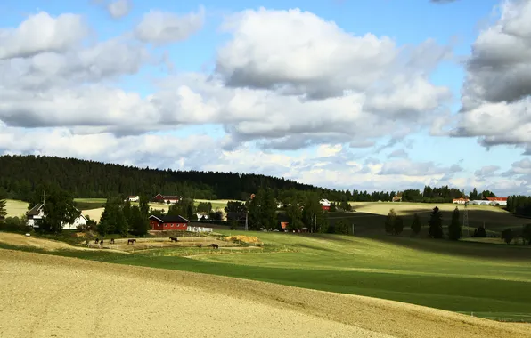 Field, grass, trees, landscape, nature, horses, home, horse