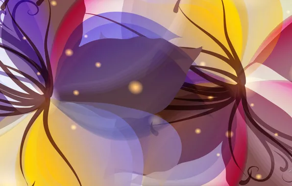 Picture flowers, nature, plant, petals