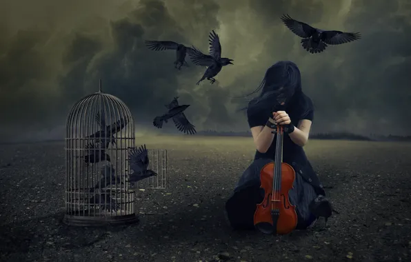 Girl, violin, cell, crows