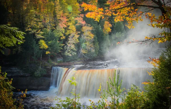 Autumn, forest, leaves, trees, branches, fog, river, waterfall