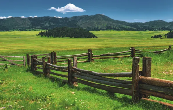 Greens, field, summer, the sky, grass, clouds, mountains, the fence