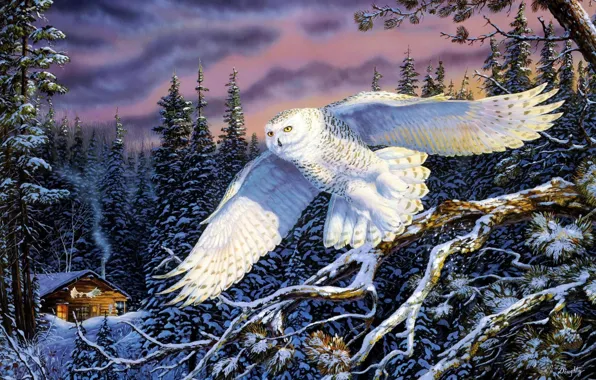 Winter, forest, nature, owl, landscapes, ate, hut, painting