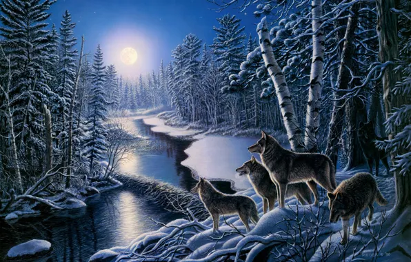 Winter, frost, forest, the sky, light, snow, trees, landscape