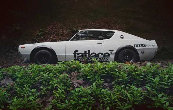 Autumn, forest, leaves, tree, Nissan, skyline, gt-r, fatlace