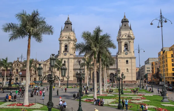 Wallpaper palm trees, area, Cathedral, Lima, Peru for mobile and ...