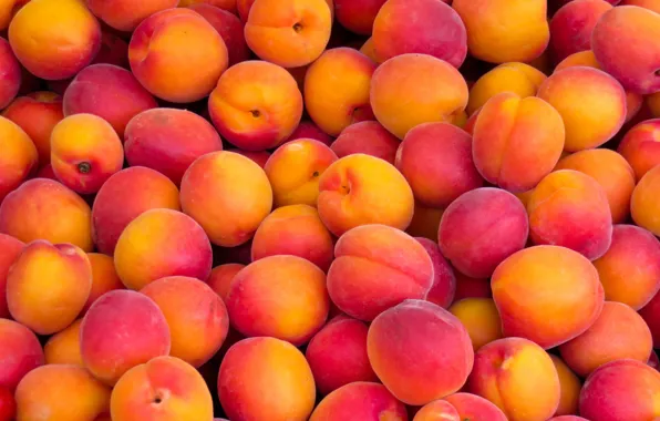 Fruit, nectarines, abundance