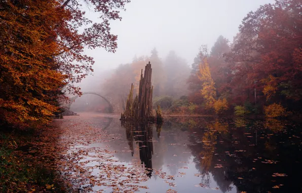 Picture autumn, bridge, river