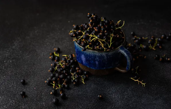 Picture berries, the dark background, table, black, mug, Cup, placer, currants