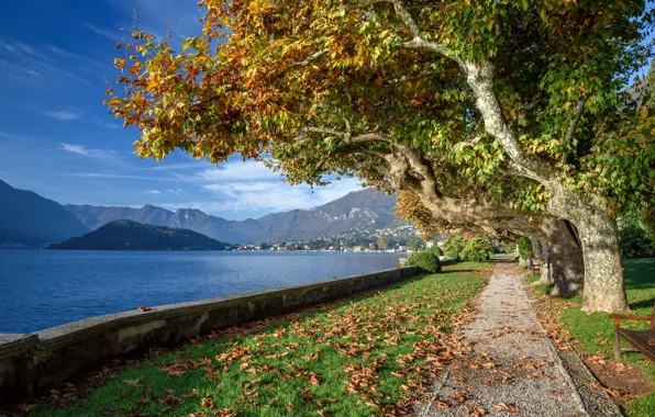 Autumn, Italy, lake Como, Tremezzo