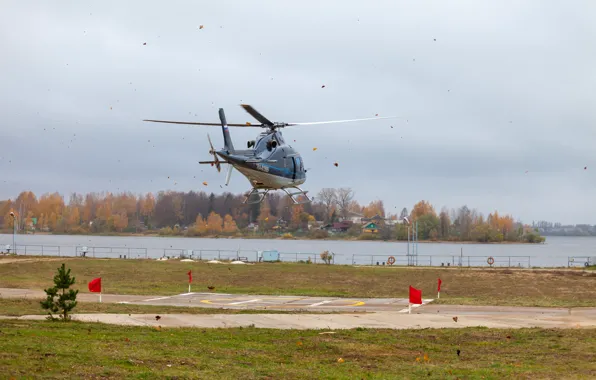 Helicopter, landing, helicopter, With, hovering, AW119, With AW119 Koala