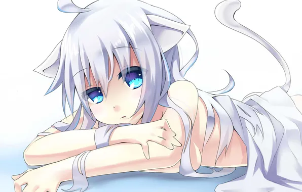 Look, surprise, girl, tail, bed, neko, ears, art