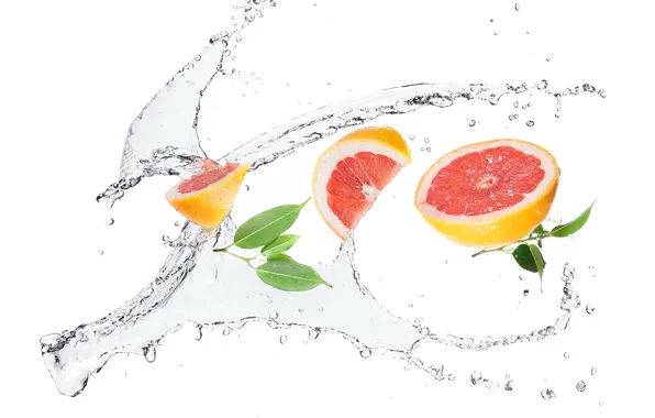 Picture water, squirt, white background, Grapefruit, policy