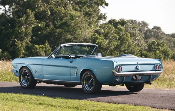 Road, trees, blue, Mustang, Ford, Convertible, Ford, Mustang
