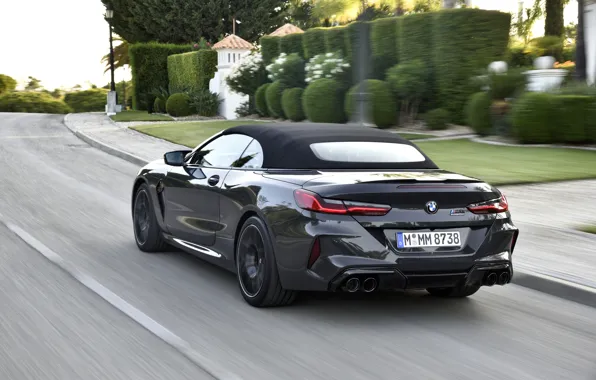 BMW, convertible, 2019, BMW M8, convertible top, M8, F91, M8 Competition Convertible