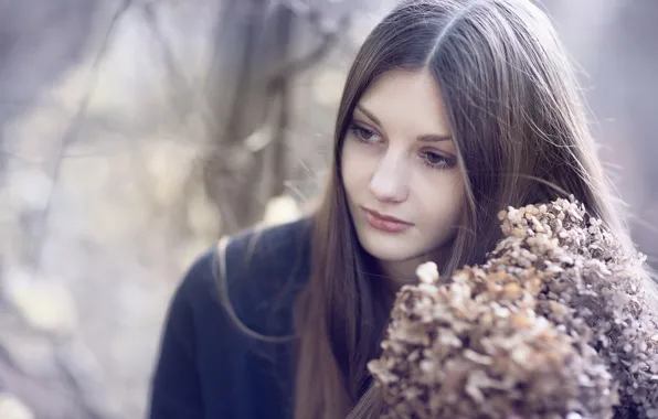 Picture girl, flowers, face, background, sweetheart, portrait, gentle, long hair