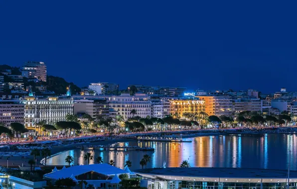 Night, lights, France, promenade, Cannes