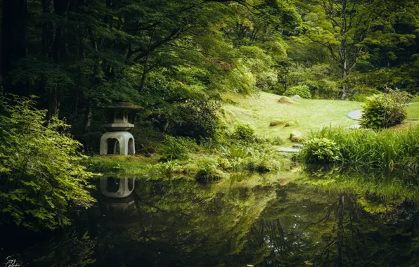 Picture grass, trees, stone, reflection, pond