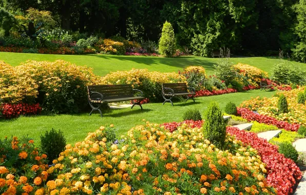 Flowers, Park, lawn, Nature, plants, spring, garden, benches